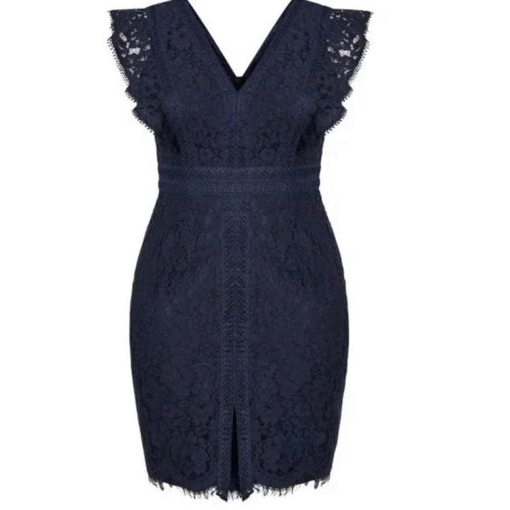 Beautiful Lace Navy Plus size dress from Nordstrom